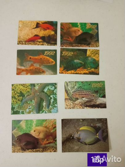 Календарь карманный. Рыбы, ракушки, дельфины