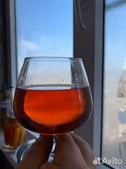 Скорлупа кедрового ореха