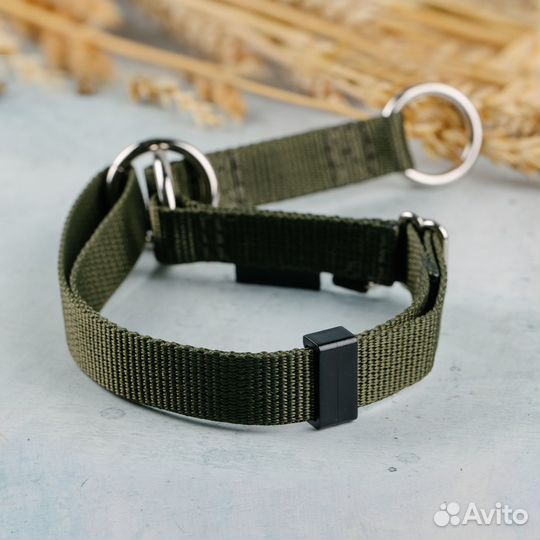 Ошейник для собак