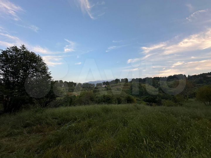 Участок 2200 м² (Грузия)