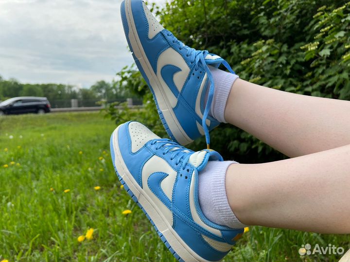 Nike Sb dunk low