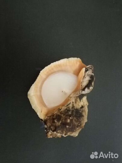 Свечи ручной работы