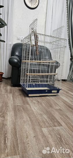 Большая клетка для средних попугаев