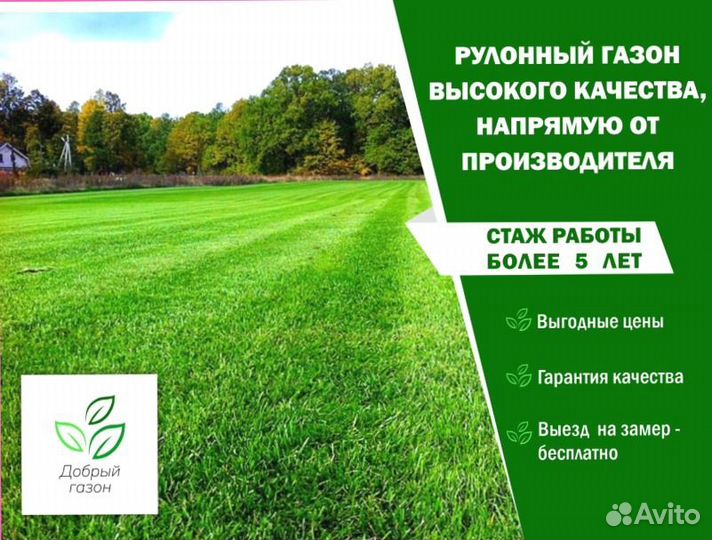 Рулонный газон. Укладка