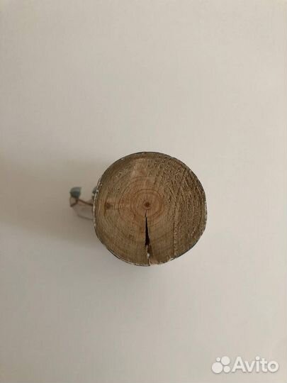 Морской подсвечник из Германии