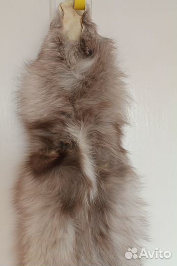 Песец, чулок полный, от мордочки с хвостиком