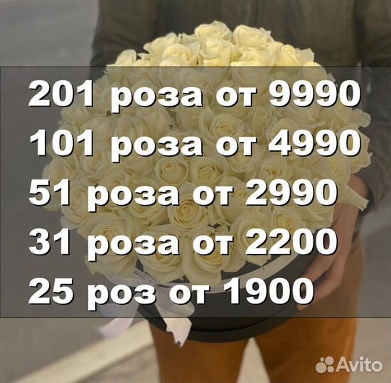 101 роза 31 51 роза Цветы