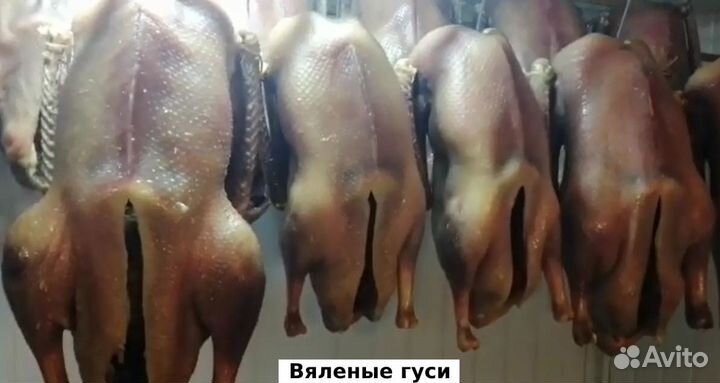 Вяленые гуси