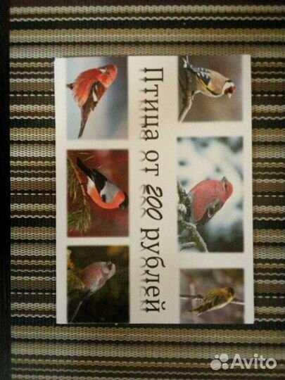 Певчие лесные птиыы