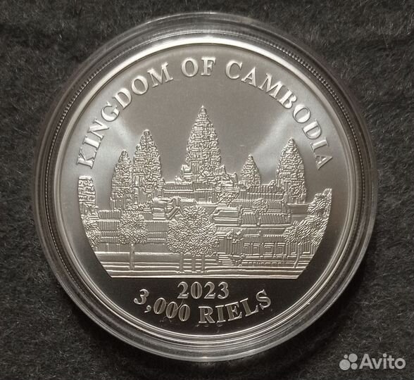 Монета Камбоджа 2023 Азиатский слон Серебро