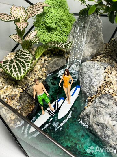 Флорариум мирсина supboard букет цветы бонсай