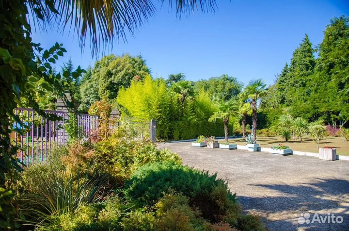 Отдых в пансионате 