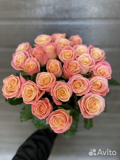 Букет из 25 роз Голландия. Розы на заказ