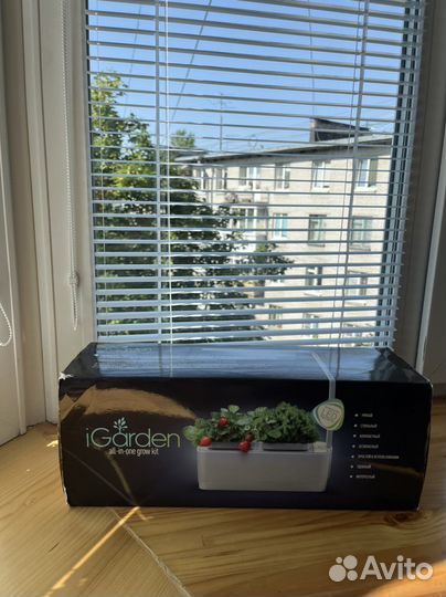 Набор для выращивания микрозелени