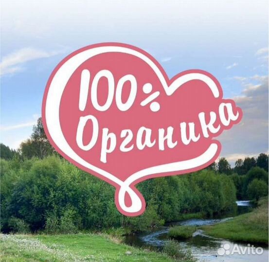 Тальянский чай Кедровый+смородина