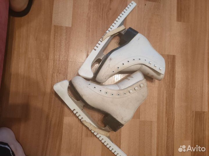 Коньки montana g 33