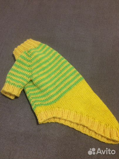 Одежда для кошек