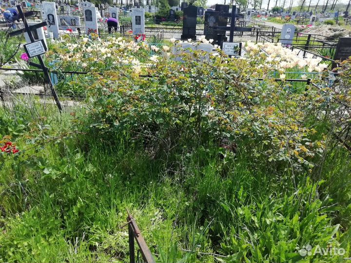 Уборка могил