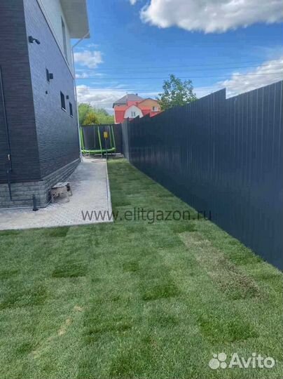 Рулонный газон /продажа/укладка