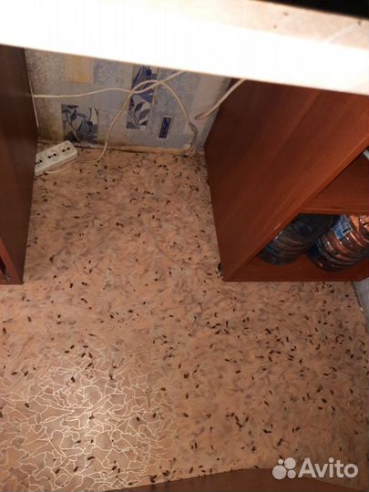 Уничтожение клопов, травить тараканов. Дезинфекция