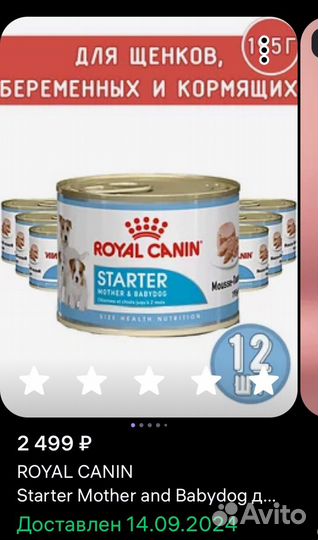 Royal canin starter mother & babydog