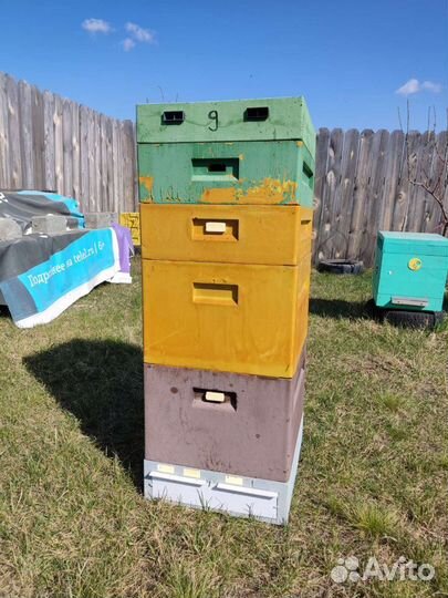 Улей для пчел