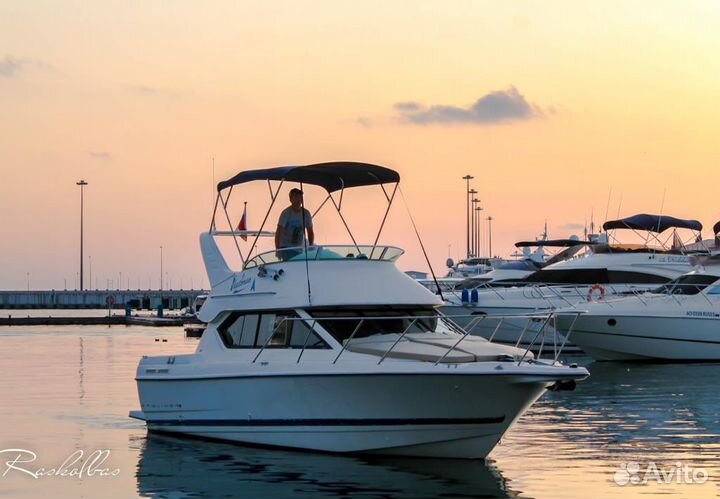 Аренда катера/яхты