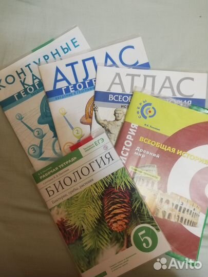 Атласы, рабочие тетради 5-6 класс