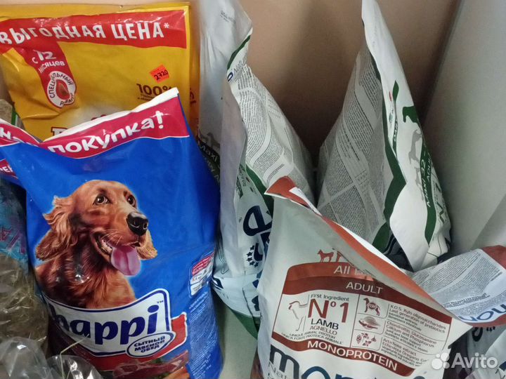 Корм для животных