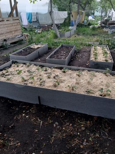 Дача 36 м² на участке 4,7 сот.