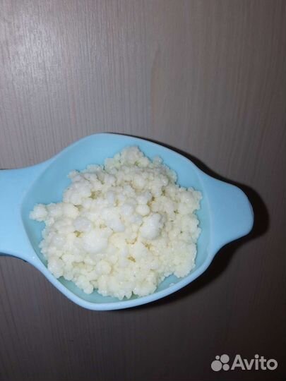 Тибетский гриб