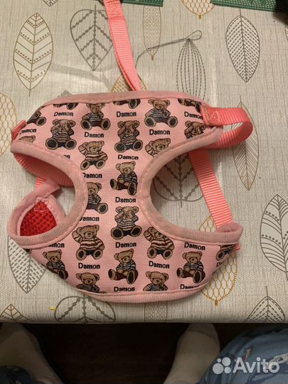 Шлейки для мелких собак