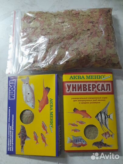 Аквариумные рыбки и растения