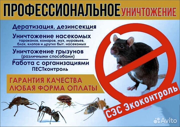 Обработка от клопов, клещей, кротов, комаров, крыс