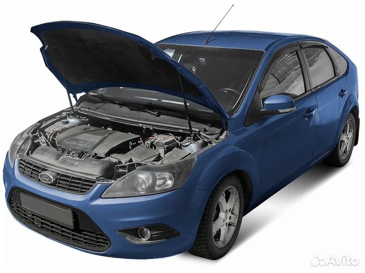 Газовые упоры капота Ford Focus II 05-11