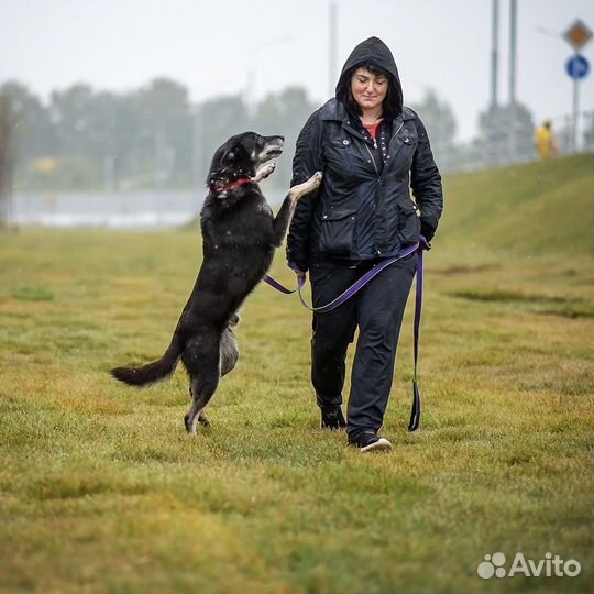 В добрые руки Илай