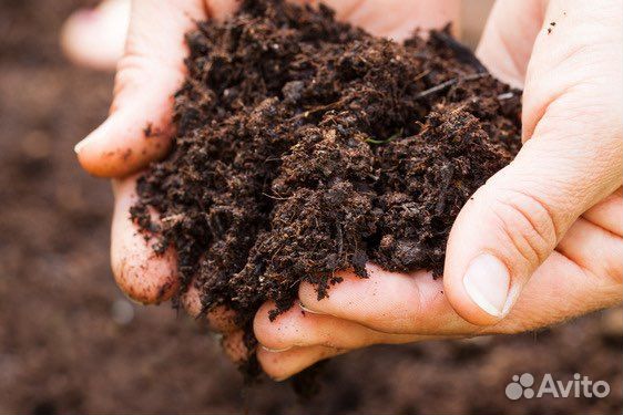 Торф, чернозём в мешках