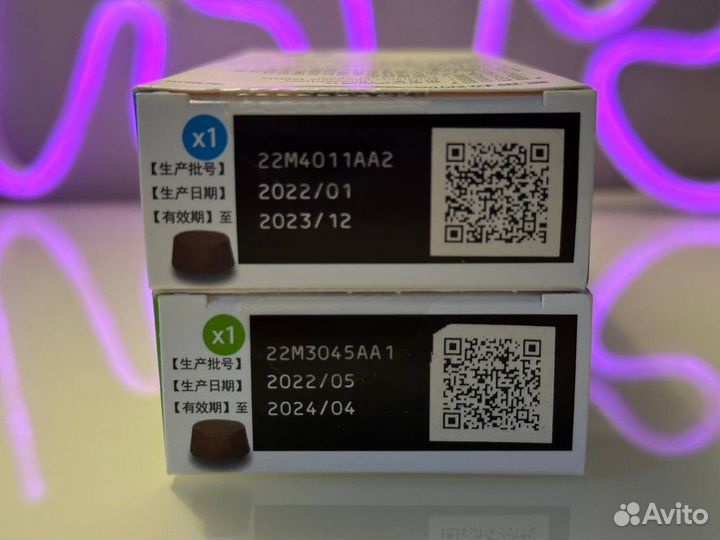 Обработка собаки от клещей и блох Бравекто