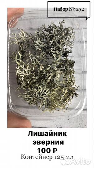 Лишайники (сухие)