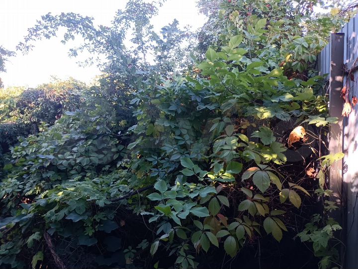 Участок 6,4 сот. (СНТ, ДНП)