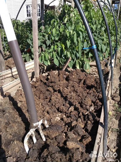 Перепелиный навоз