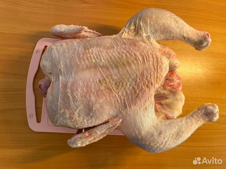 Тушки бройлеров домашние 60 дней с выводу