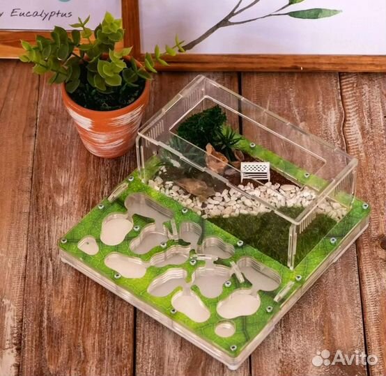 Муравьиная ферма / Формикарий Новая