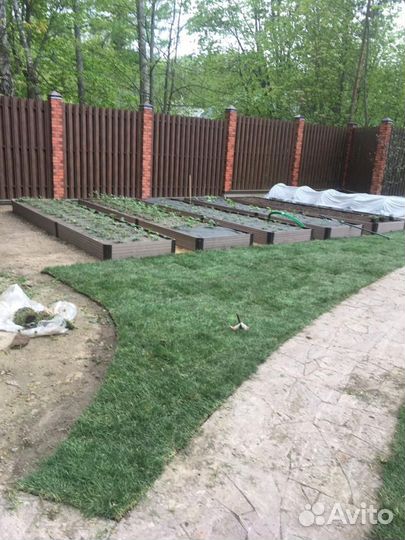 Укладка и продажа газона стандарт