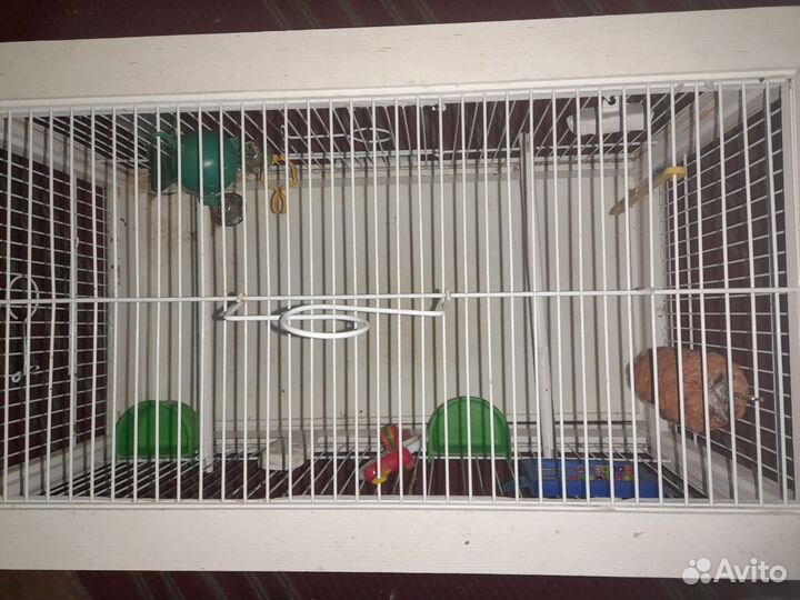 Клетка деревянная