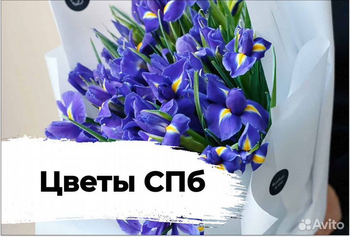 Букеты / цветы / ирисы