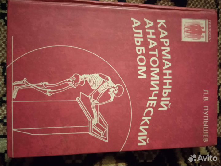 Карманный анатомический альбом