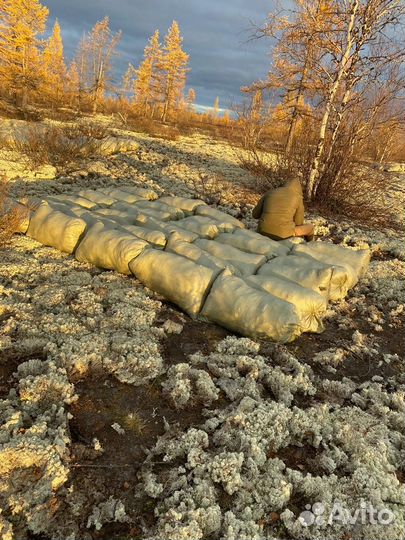 Мох-Ягель чистый без земли