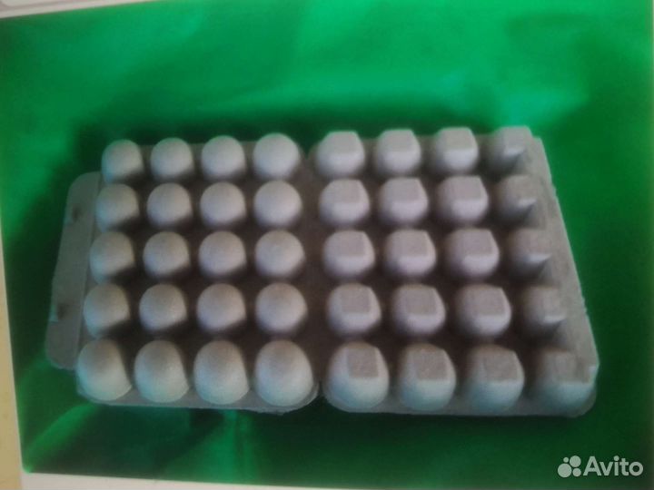 Упаковка (ячейка) для перепелиных яиц