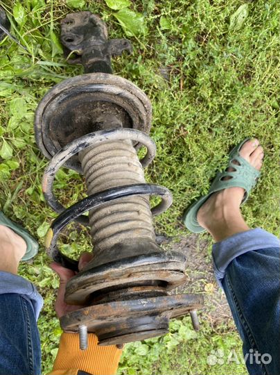 Стойки на тайота виш